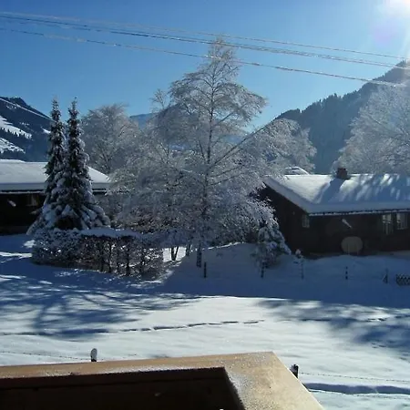 Chalet Apartment Morgenstern Sankt Stephan
